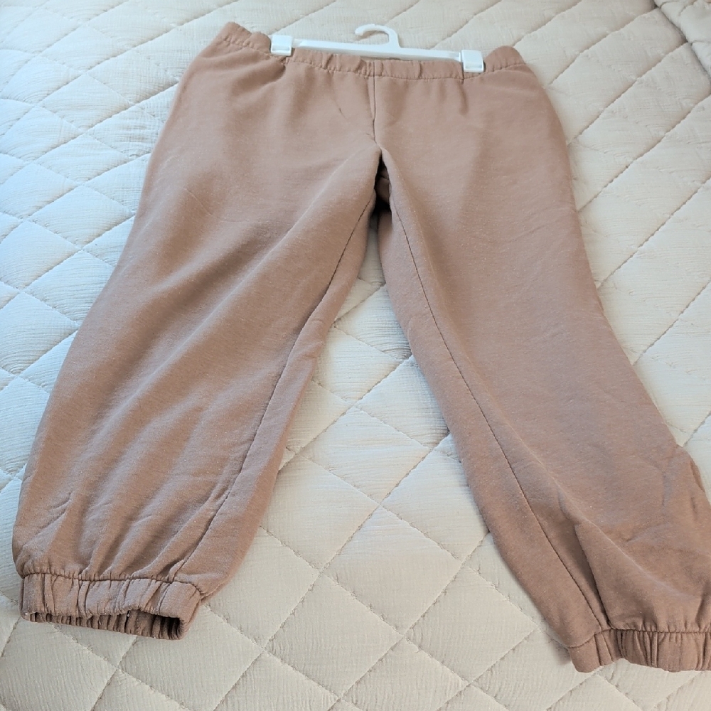 Wild Fable Fleece Lined Tan Joggers